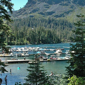 Meet your Posher, Benjamin